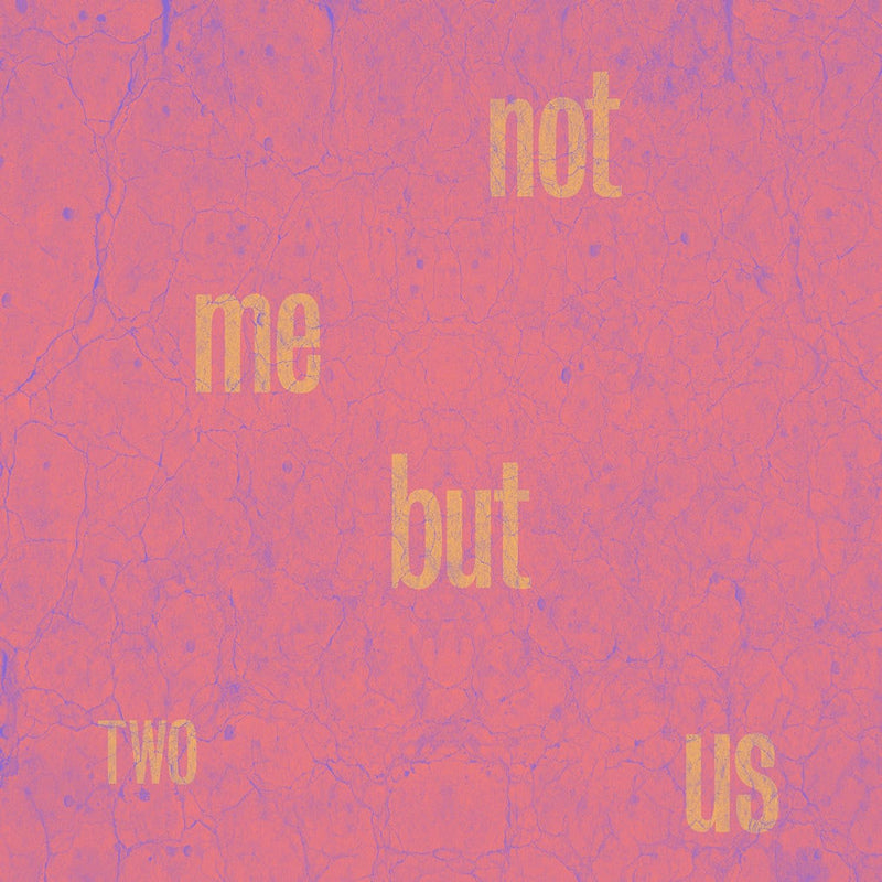 Not Me But Us - Two (LP) - Velvet Music