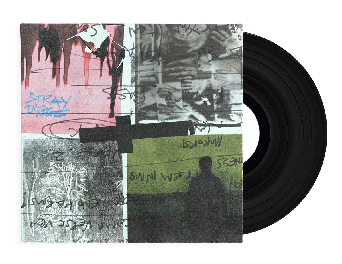 Nothing But Thieves - Stray dogs (LP) - Velvet Music
