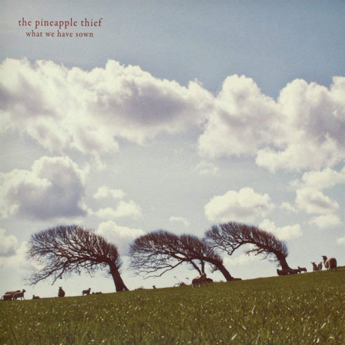 Pineapple Thief - What we have sown (LP) - Velvet Music