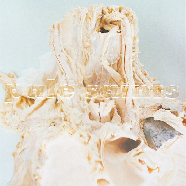 Pale Saints - In ribbons -réédition 2023- (CD)