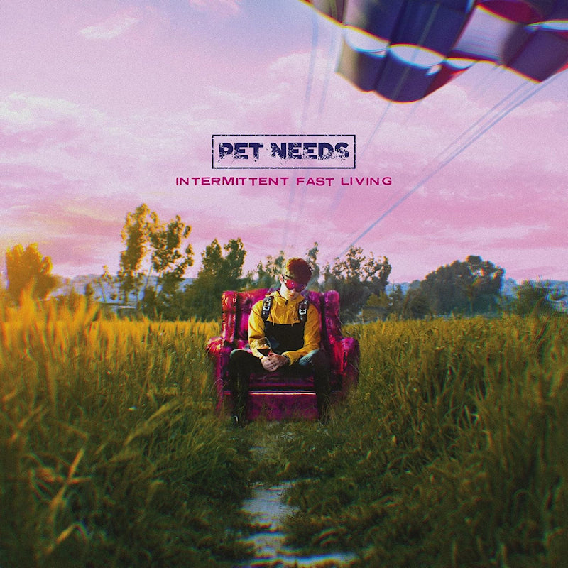 Pet Needs - Intermittent fast living (LP) - Velvet Music