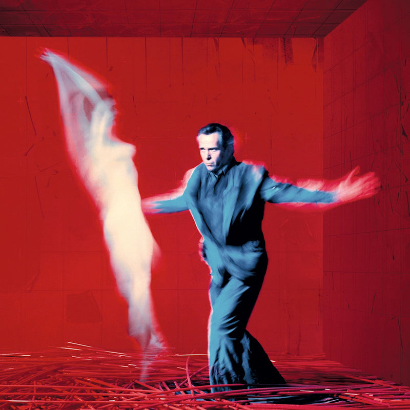 Peter Gabriel - Us (CD) - Velvet Music