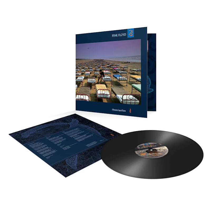 Pink Floyd - Momentary lapse of reason (LP)