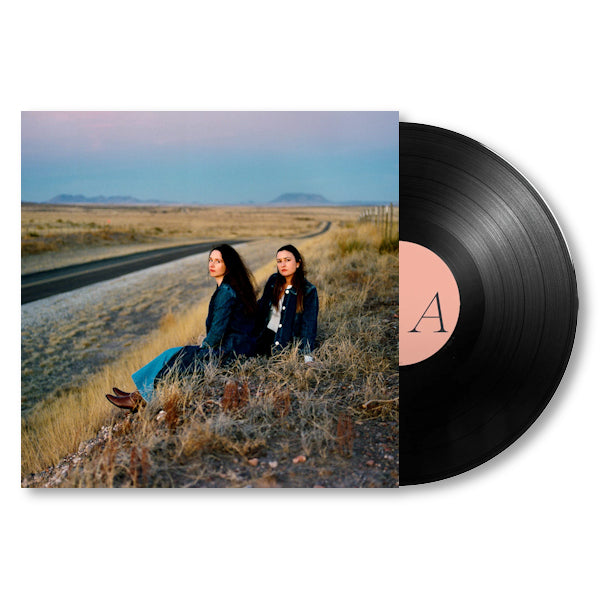 Plains - I walked with you a ways (LP) - Velvet Music