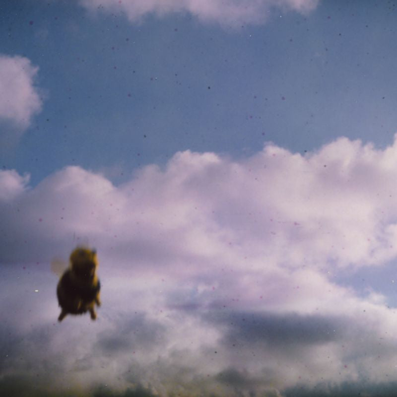 Pound - Stung! -splatter bee vinyl- (LP)