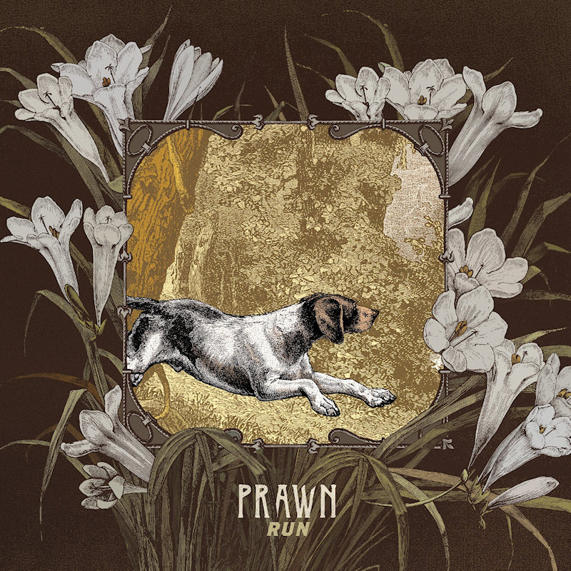 Prawn - Run (CD) - Velvet Music