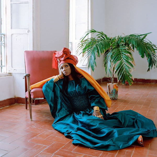 Rokia Kone & Jacknife Lee - Bamanan (LP) - Velvet Music