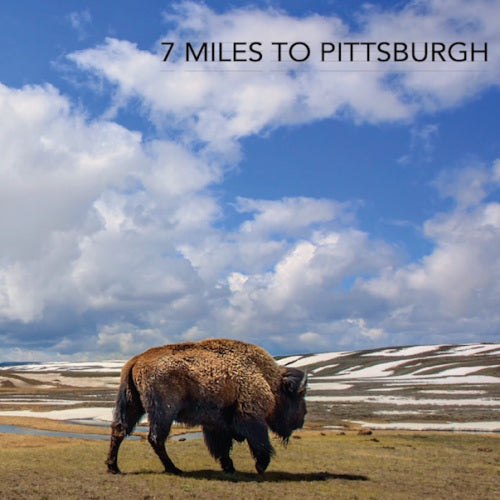 Seven Miles To Pittsburgh - Seven miles to pittsburgh (LP) - Velvet Music