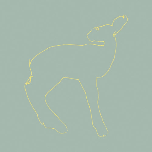 Songs: Ohia - Hecla & griper (LP) - Velvet Music