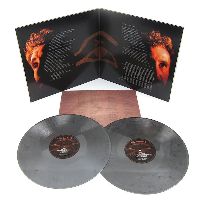 Serj Tankian - Elect the dead (LP) - Velvet Music