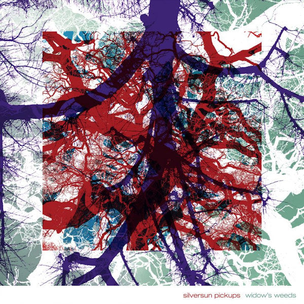 Silversun Pickups - Widow's weeds (CD)