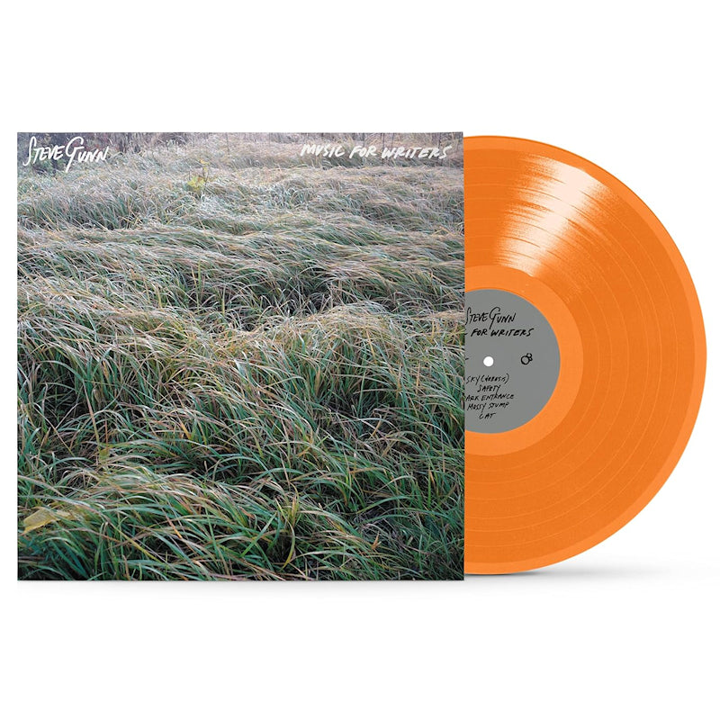 Steve Gunn - Music for writers (LP) - Velvet Music
