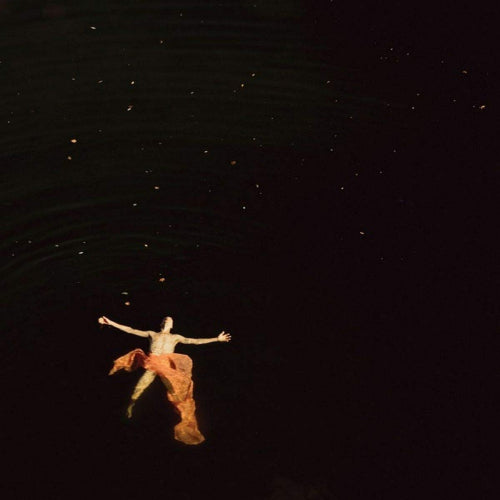 Tr/st - Destroyer - 1 (CD)