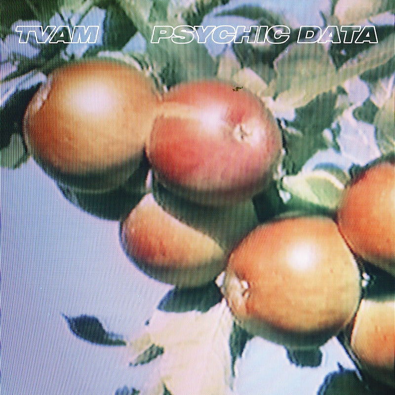 TVAM - Psychic data (LP) - Velvet Music