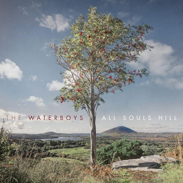 Waterboys - All souls hill (LP)