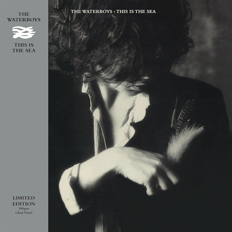 The Waterboys - This is the sea (LP) - Velvet Music