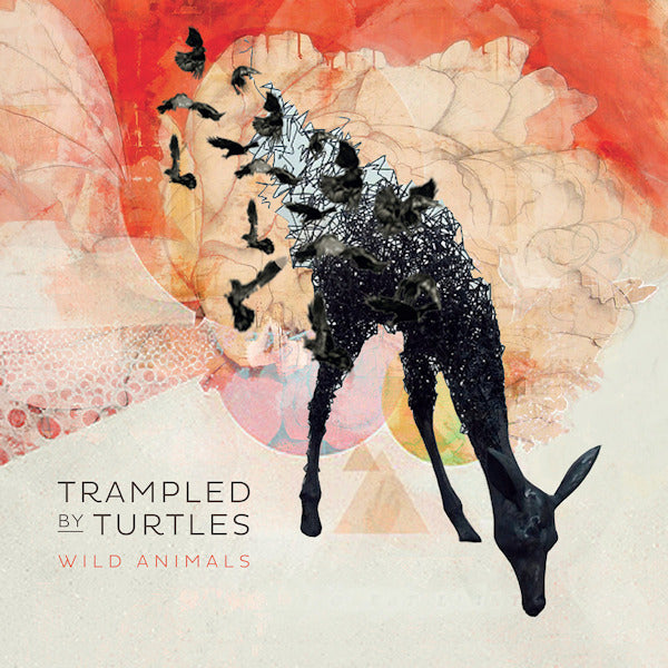 Trampled By Turtles - Wild animals (LP)