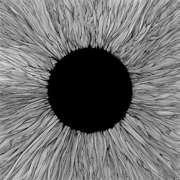 Vola - Witness (CD)