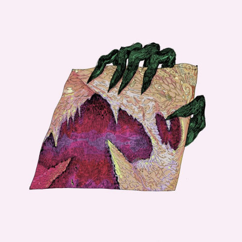 Wand - Ganglion reef (LP) - Velvet Music