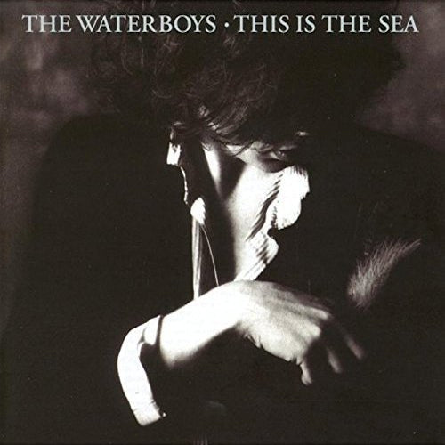 The Waterboys - This is the sea (CD) - Velvet Music
