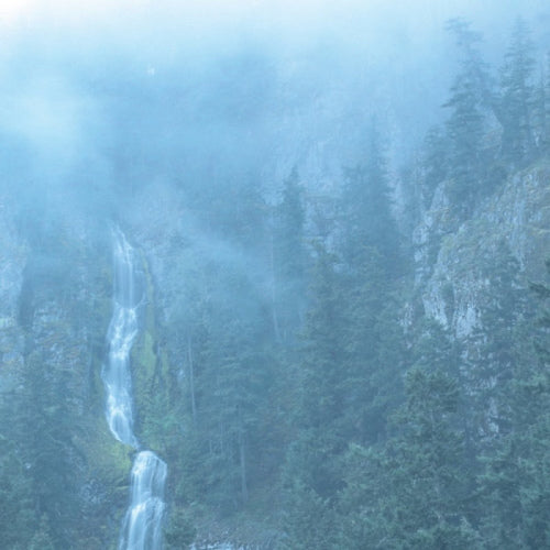 Wolves In The Throne Room - Diadem of 12 stars (LP) - Velvet Music