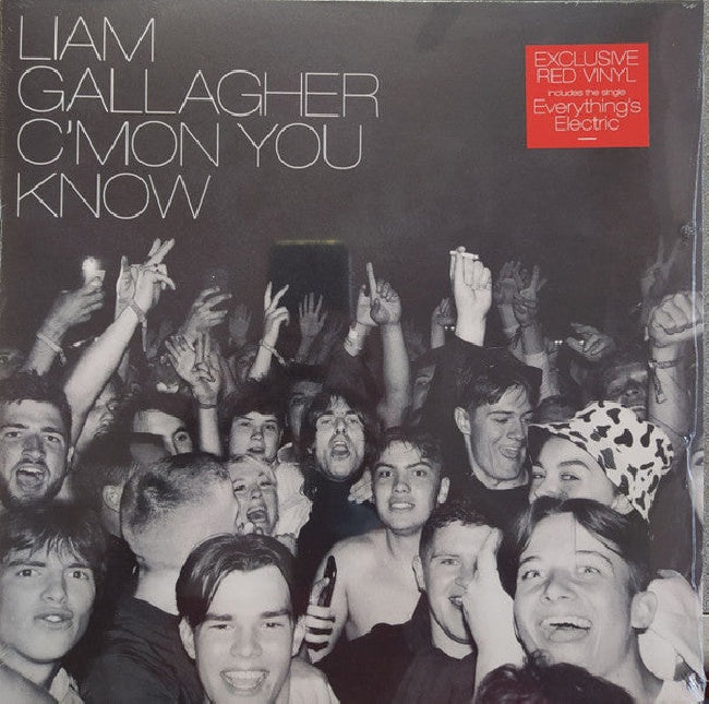 Gallagher.liam - C mon you know (LP) - Velvet Music