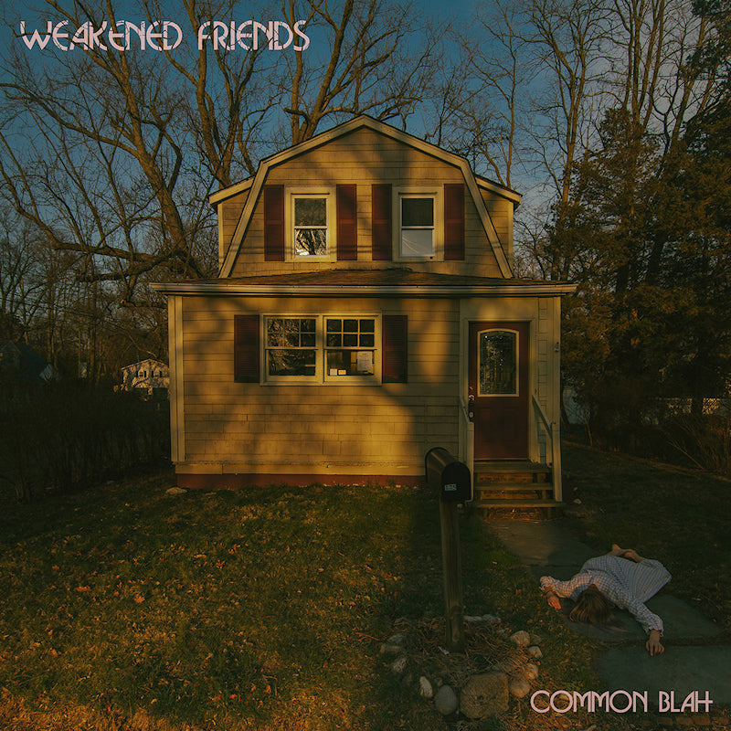 Weakened Friends - Common blah (LP)