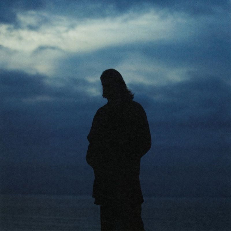 Willem Ardui - Oevers (LP)