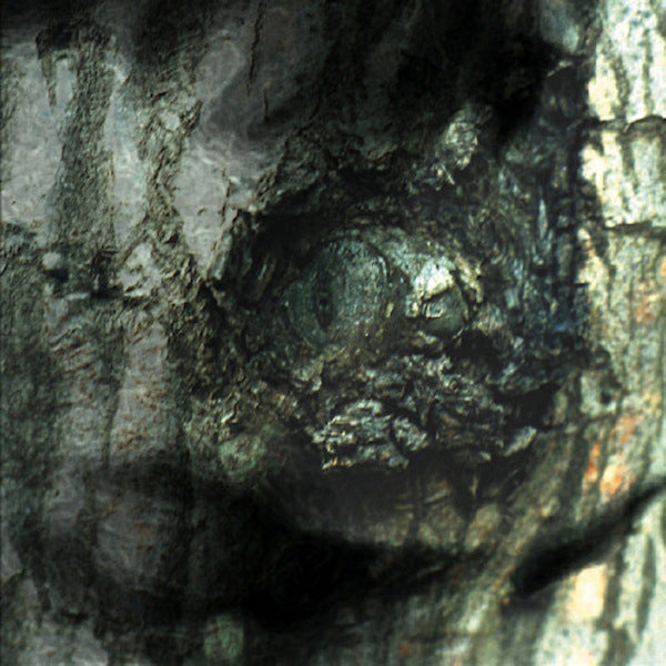 Yann Tiersen - La nationale des monstres (LP)