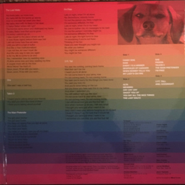 Ty Segall & Freedom Band (3) - Freedom’s Goblin (LP) - Velvet Music