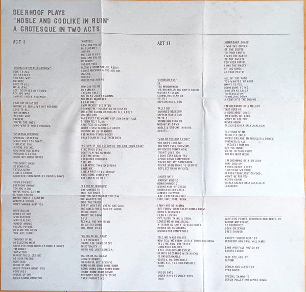 Deerhoof - Noble And Godlike In Ruin (CD) - Velvet Music