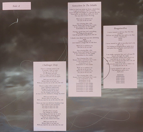 Daneshevskaya - Long is the Tunnel (LP) - Velvet Music