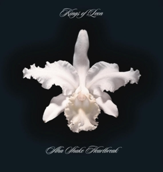 Kings Of Leon - Aha shake heartbreak (LP)