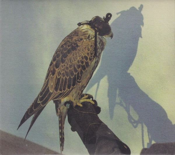 Iceage - You're Nothing (tweedehands CD) - Velvet Music
