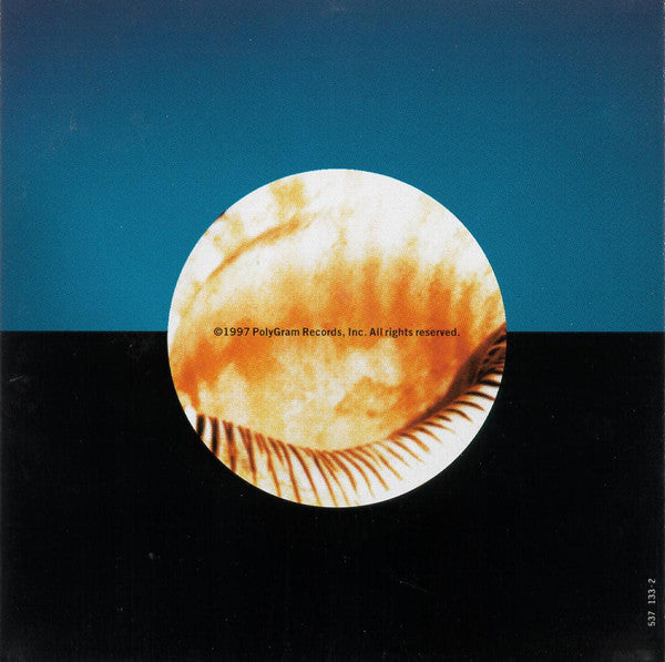 Steve Turre - Steve Turre (CD d'occasion)