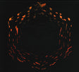 C418 - Minecraft Volume Beta (CD) - Velvet Music