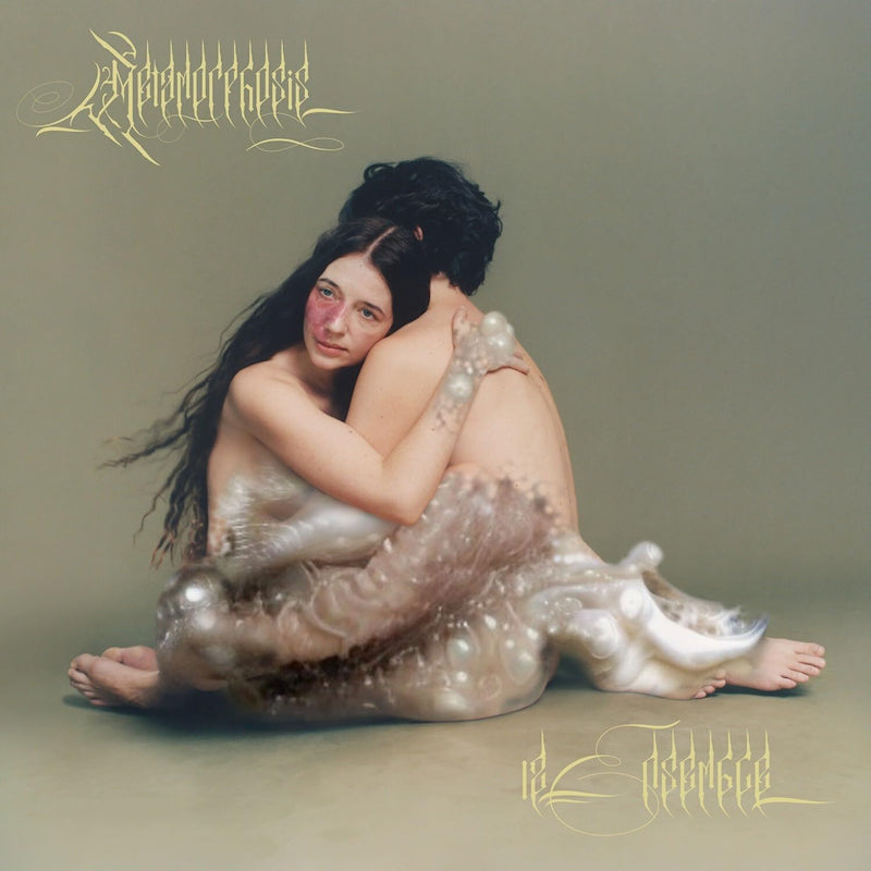 12 Ensemble - Metamorphosis (CD) - Velvet Music