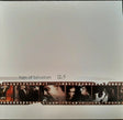 Pain Of Salvation - 12:5 (re-issue 2021) (LP) - Velvet Music