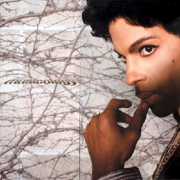 Prince - Musicology (LP) - Velvet Music