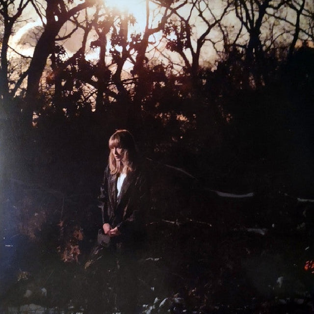The Weather Station - How is it that i should look at the stars (LP) - Velvet Music