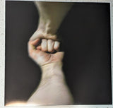 Mountain Goats, The - The Sunset Tree (LP) - Velvet Music