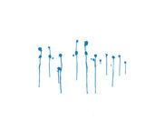Melody Gardot - Sunset In The Blue (tweedehands CD) - Velvet Music
