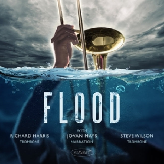 Steve Wilson / Richard Harris / Jovan Mays - Flood (CD) - Velvet Music