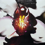 Chrysta Bell & David Lynch - Cellophane Memories  (LP) - Velvet Music