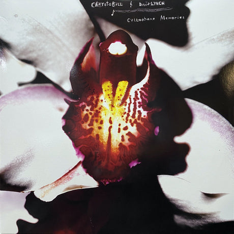 Chrysta Bell & David Lynch - Cellophane Memories  (LP) - Velvet Music