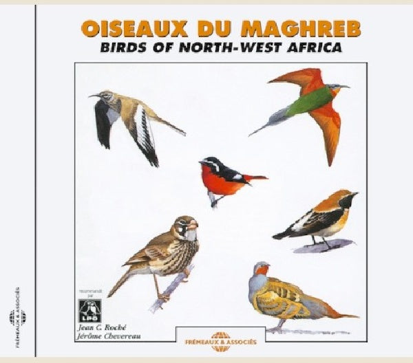 V/A (Artistes Divers) - Oiseaux du Maghreb (CD)