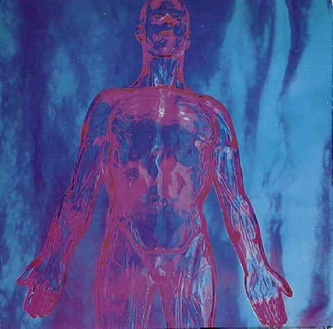 Nirvana - Sliver (12-inch maxi-single) - Velvet Music