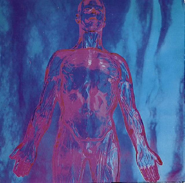 Nirvana - Sliver (12-inch maxi-single) - Velvet Music