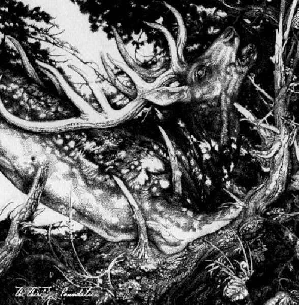 Third Eye Foundation - Dark (CD) - Velvet Music