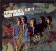 Blues Magoos - Psychedelic lollipop (CD) - Velvet Music